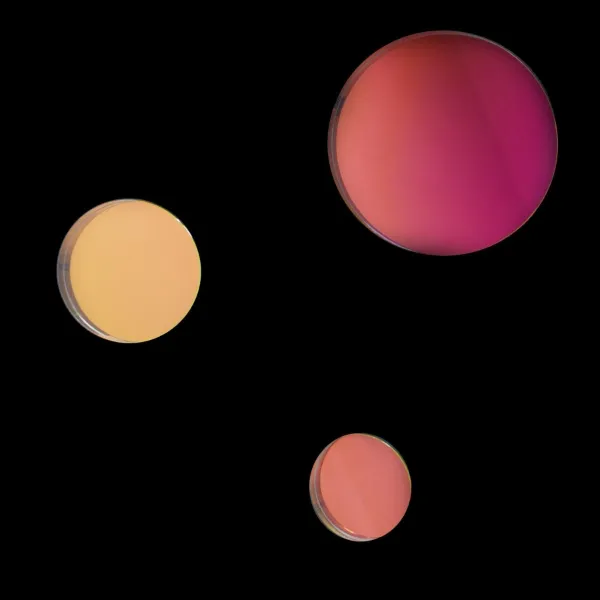 Fundamental.BerlinRegenbogen - Wall Hooks 