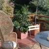 lungo po